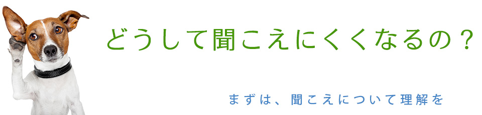 どうして聞こえにくくなるの